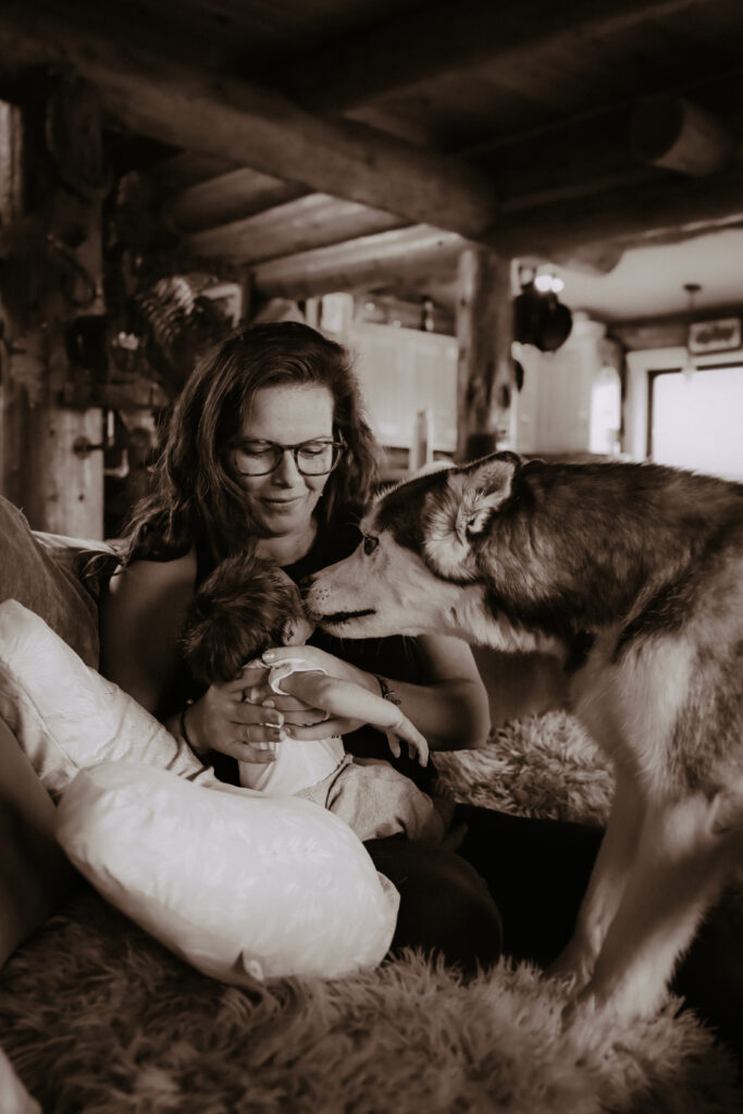 Dog kissing newborn baby during newborn photography session
