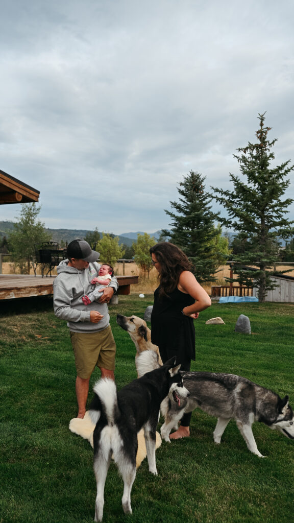 Dad holding newborn outside next to mom and dogs in backyard at newborn photo session in teton valley