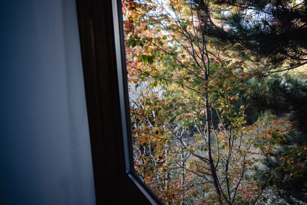 View out of bedroom window after home birth