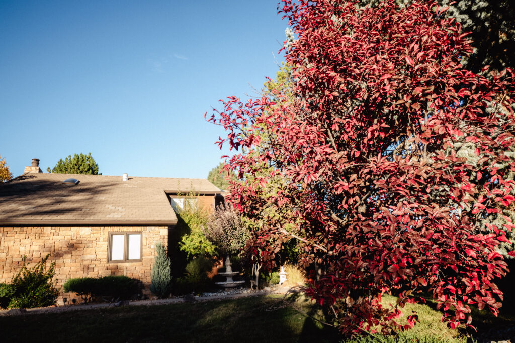 Outside view of house after home birth