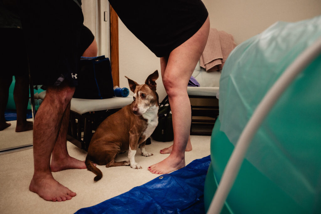 Laboring mother leaning against husband with dog near and next to birth pool